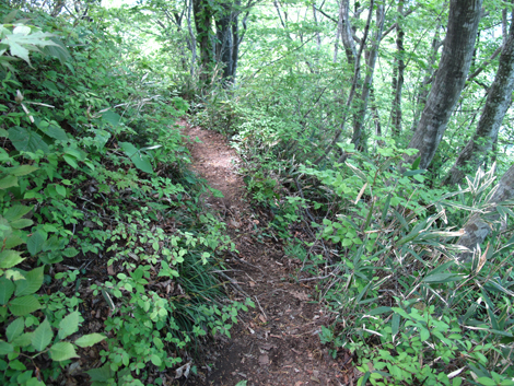 20140517hike (149)